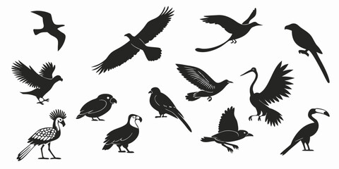 Obraz premium Collection of diverse bird silhouettes in flight and perched isolated on white background