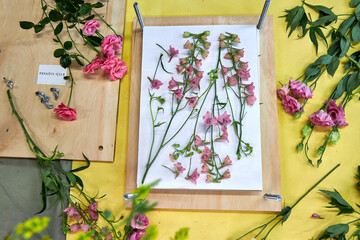 Delicate pink flowers prepared for pressing on a wooden press. Surrounded by fresh blooms and tools...