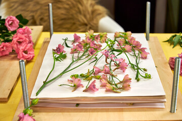 Delicate pink flowers prepared for pressing on a wooden press. Surrounded by fresh blooms and tools on a vibrant yellow surface — a charming DIY floral flatlay