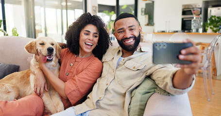 Couple, selfie and smile with dog, home or hug for bonding, memory or excited with love for photography. People, man and woman with pet animal, golden retriever or post on social network in house