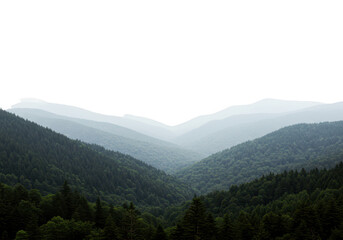 A breathtaking panoramic view of rolling green mountains and deep valleys shrouded in a soft, ethereal mist under an overcast sky isolated on transparent background