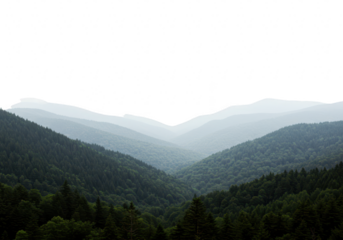 A breathtaking panoramic view of rolling green mountains and deep valleys shrouded in a soft, ethereal mist under an overcast sky isolated on transparent background
