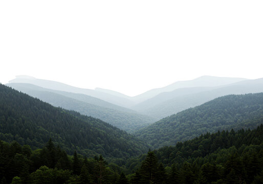 A breathtaking panoramic view of rolling green mountains and deep valleys shrouded in a soft, ethereal mist under an overcast sky isolated on transparent background