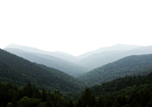 A breathtaking panoramic view of rolling green mountains and deep valleys shrouded in a soft, ethereal mist under an overcast sky isolated on transparent background