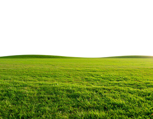 Obraz premium Panoramic Green Grass Field with Bright Sky and Light Clouds, Transparent Background PNG