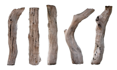 Broken tree branches with detached bark. Rustic wood branch. Weathered driftwood log isolated. Willow log isolate