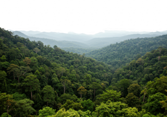 A vast expanse of lush green mountains and valleys covered in dense forest isolated on transparent background