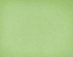 Fototapeta premium Olive Green Textured Paper Background