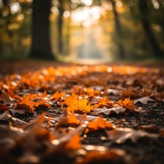 Fallen Autumn Leaves Covering Forest Path in Sunlight