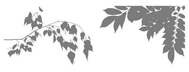 Silhouetted branches with hanging leaves against a dark background