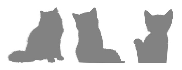 Three gray cat silhouettes sitting against a black background