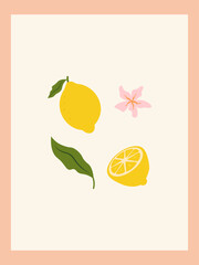 Citrus fruits abstract poster. Contemporary print with hand drawn lemon, leaves and flowers. Dolce vita aesthetics. Italian summer vacation. Elegant design for card, banner, menu, cover. 