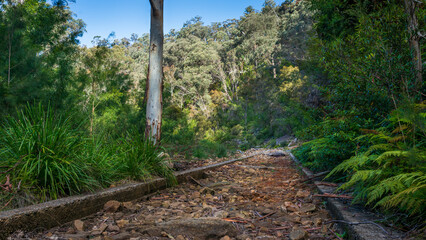 Bargo river trail walk, wollondilly NSW, Australia.