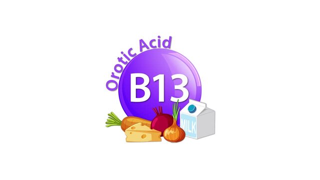 Vitamin B13 Orotic Acid Animation With Food Sources