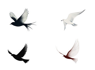 Obraz premium Four Birds in Flight Black White Brown and Gray Avian Silhouettes Isolated on Transparent Background