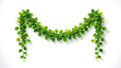 Lush green vine garland with cascading tendrils leaves plant