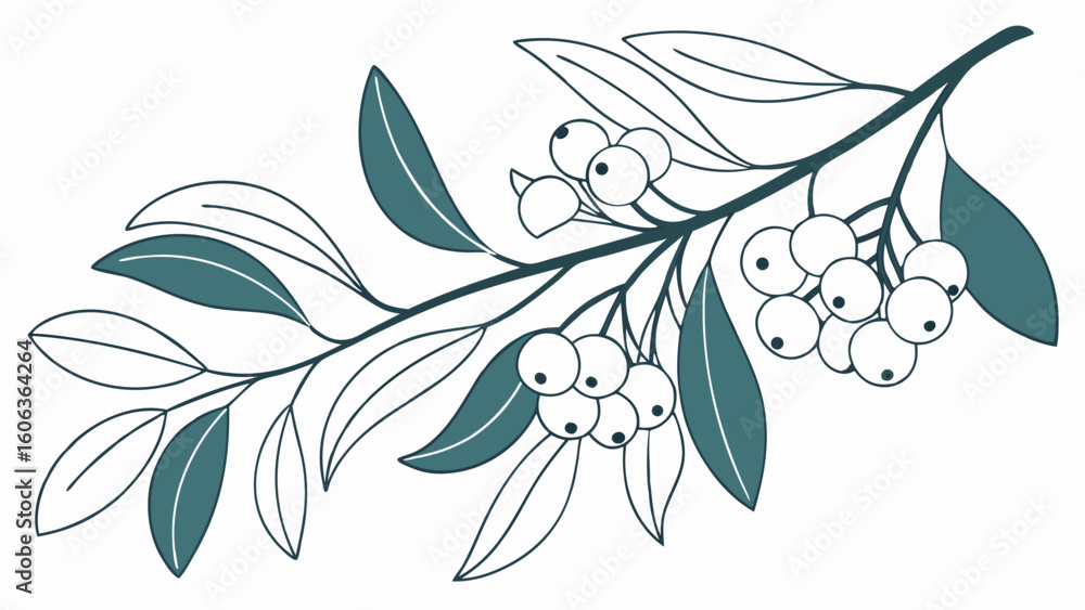 Aufkleber decorative botanical branch illustration with leaves and berries in a minimalist linear style perfec