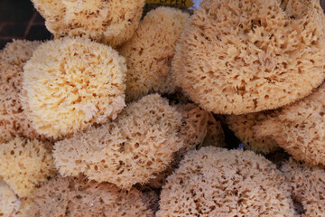 Beautiful organic healthy natural sponges small and large pieces from Mediterranean sea on Turkish coast, Kas, Turkey