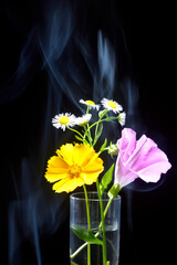 背景素材の花
