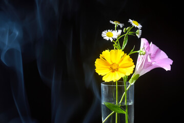 背景素材の花