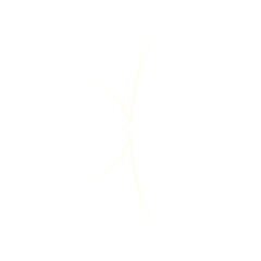 White abstract light curve on transparent background
