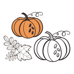 Versatile Pumpkin Vector Set | Cartoon and Realistic Pumpkin EPS
A versatile pumpkin vector set including cartoon and realistic pumpkin designs. Perfect for Halloween, autumn.