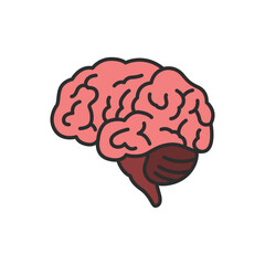 Brain illustration