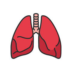 Lungs illustration