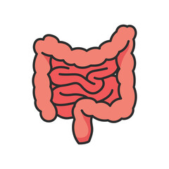 Intestine illustration