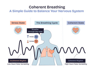 Coherent breathing visualizes balanced breathing, heart, and lungs to illustrate nervous system regulation. Doodle style diagram