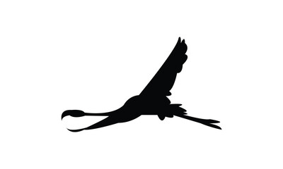 Flying American flamingo bird Silhouette Design  And Vector Illustration. 