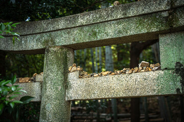 鳥居の上に乗った石 神社