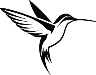 Obraz premium silhouette of humming bird on vector