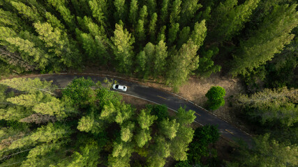 Aerial view of dark green forest road and white electric car Natural landscape and elevated roads Adventure travel and transportation and environmental protection concept	
