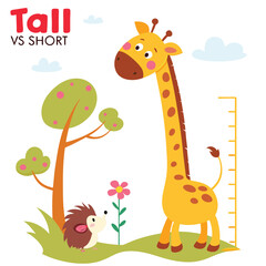 Fototapeta premium Cute cartoon illustration comparing tall and short with a giraffe and hedgehog next to a measurement chart in a playful style.
