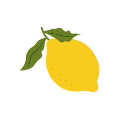 Hand drawn lemon with leaf. Juicy summer citrus. Organic fruit for lemonade, juice or vitamin C healthy food. Cartoon flat vector illustration isolated on transparent background. Clipart lemon