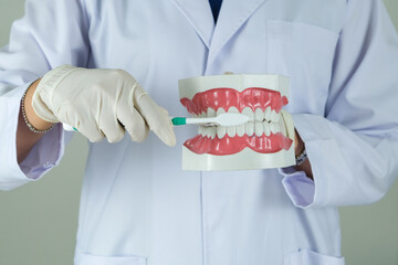 hands of a dentist, he is demonstrating how to brush your teeth properly. To clean the teeth and...