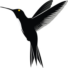 black silhouette of humming bird vector on white background