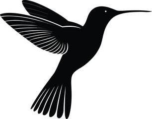 vector silhouette of humming bird