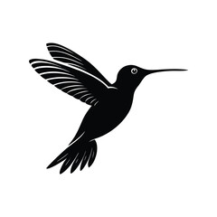  silhouette of humming bird vector