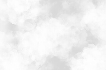 Professional White Background PNG Transparent Digital