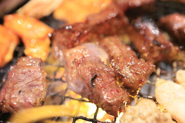 黒毛和牛焼肉（ハラミ）