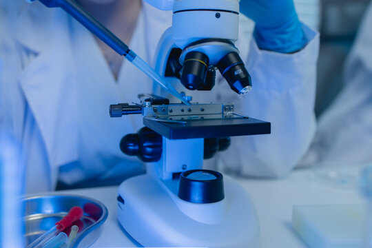 two scientists are working together to find a new antiviral drug, two chemists are using scientific tools to study science, microscope, working in the lab, researchers' work in the laboratory