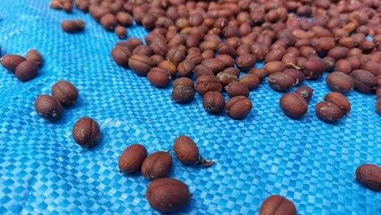 the process of drying coffee beans using traditional methods with sunlight to reduce the moisture...