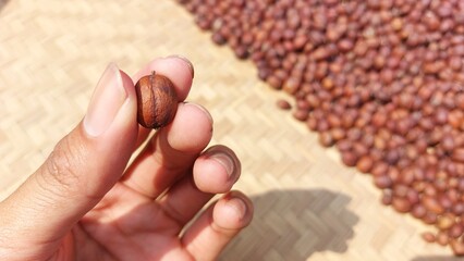 the process of drying coffee beans using traditional methods with sunlight to reduce the moisture...