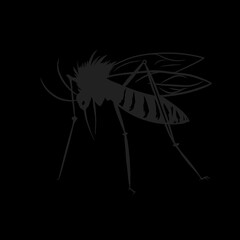 mosquito icon illustration without background