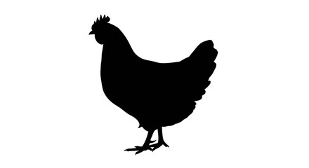 Elegant chicken silhouette for farm branding or poultry designs with clean modern vector style icon element