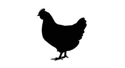 Elegant silhouette of a hen perfect for farm branding, food packaging, or rustic themed designs