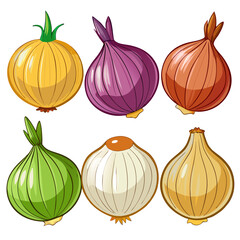 Illustration of Six Different Types of Onions Yellow Red Brown Green White and Shallot all with a Cartoon Style and Outlined in Black on a