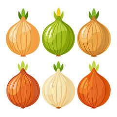 A colorful illustration of six onions each a different variety and color arranged in two rows against a white background showcasing the diversity of this